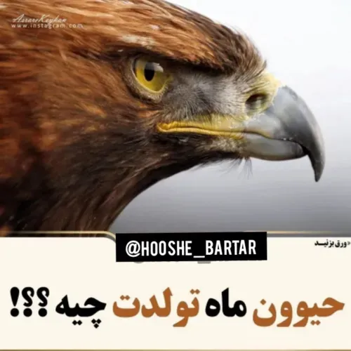 کدوم ماه هستن شیطون بلا