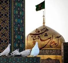 💚یا امام رضا مددی آقا💚