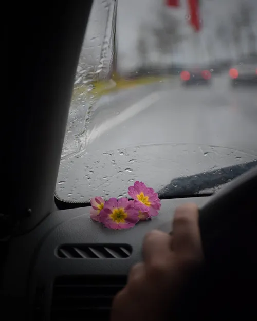 باران جاده عاشقانه بیادماندنی رانندگی جاده.