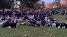 برپایی نماز در دانشگاه UCLA توسط دانشجویان آمریکایی