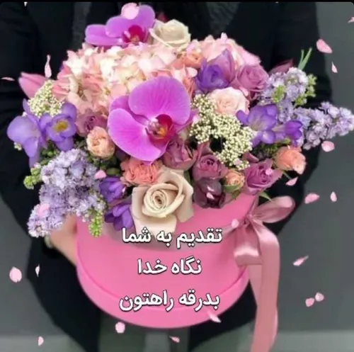 🍃 🌸 ظهر یکشنبه تون پراز