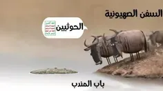 اینجاست که میگن طرف مثل گاو تو باتلاق گیر کرده 😂😂🤣🤣