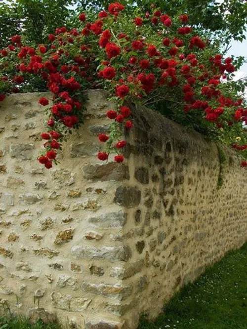 اینم عیدی من ب شما به مناسبت عید سعید فطر