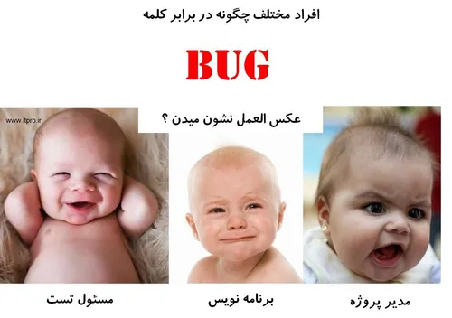 عکس العمل افراد مختلف نسبت به کلمه باگ BUG