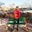 hosseinshahed