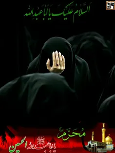 سلام برحسین(ع)....