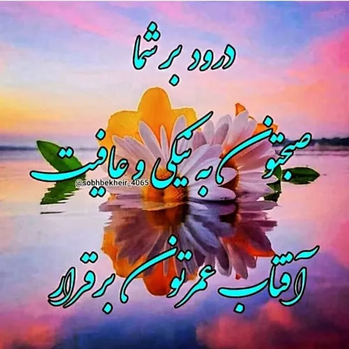  mehrzadalavi636 68282311 - عکس ویسگون