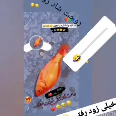 ماهی عید تمام شد روحش شاد