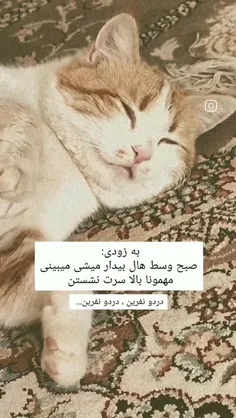 من بعضی شبا انقدر ورجه ووجه میکنم دقیقا وسط هال رو زمین خ