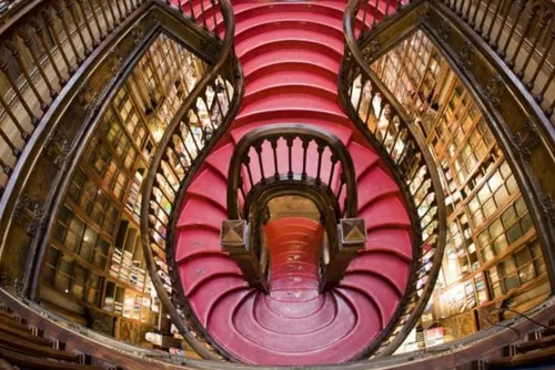 کتابخانه ای زیبا در شهر پورتوی پرتغال
