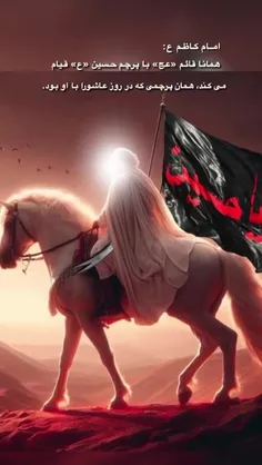 ✨السلام‌ علیک یا اباصالح المهدی 
