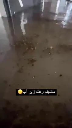 گریه های یک ایرانی ساکن امارات پس‌ از بارش روز گذشته در د