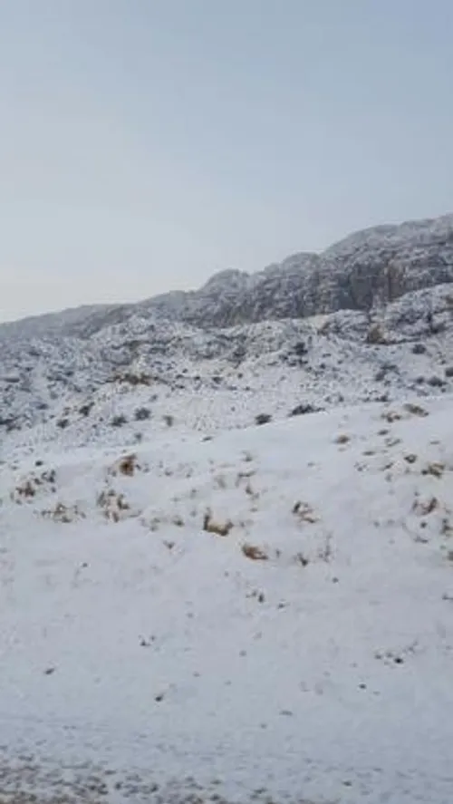 بارش برف در دشتستان بوشهر