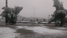 یزد اولین برف زمستان