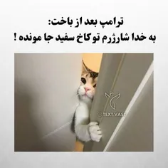 #طنز