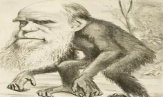 چالرز داروین عادت داشت گوشت هر حیوان جدیدی که پیدا میکرد 