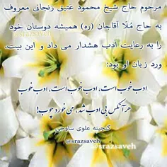 مرحوم حاج شیخ محمود #عتیق_زنجانی معروف به حاج #ملا_آقاجان