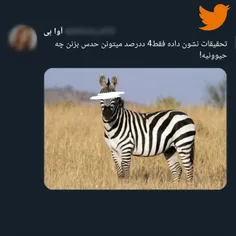 مثل خفاش شدم شبا پست میزارم 😐💔