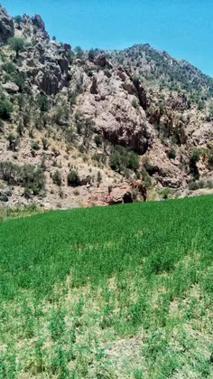 طبیعت زیبا ،، روستای مسکون ،، جبالبارز