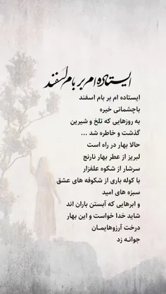 🌸🌸+باید+بزنی+سر+شانه+خودت،