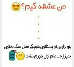 قبلا به گربه پخ میکردی سه متر رو هوا بود !