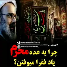 استاد مهدی دانشمند 