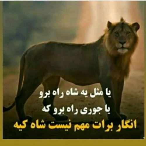  ali14521 38169099 - عکس ویسگون