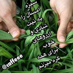 ایکاش که جای گرهی بر سر سبزه