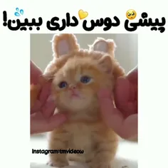 اوخی🙂