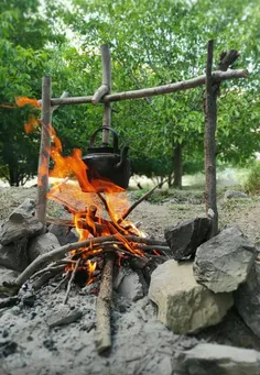 جاتون حسابی خالی 🤗