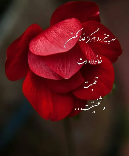 سه چیز مهم