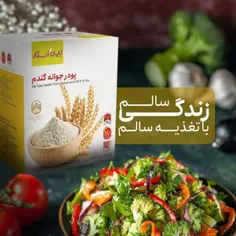 پودر جوانه گندم بین استار Dr.BIZ