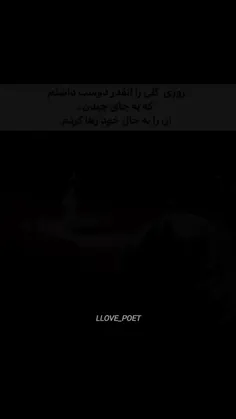 سپس فهمیدم دیگری آن را چیده...