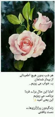 گوناگون faribaaaa53 21255755