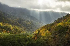 جنگل های استان مازندران