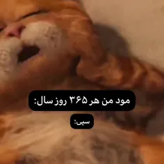 حقه ولی تلخه........🤣👻🙃