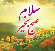 🌷سلام🌷