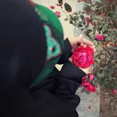 ای گل محمــدی کاش بدونی🌹 چـہ قشنگـہ جامـہ ی حیـاے تو