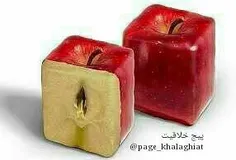 سیب چند ضلعی