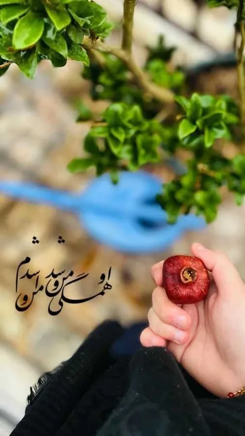 خوزستان قلب منی