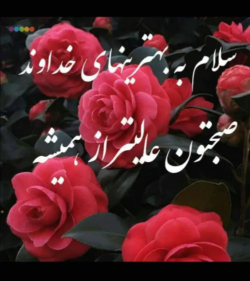 آرزو میڪنم