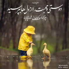 دوستی و محبت ....💞💞