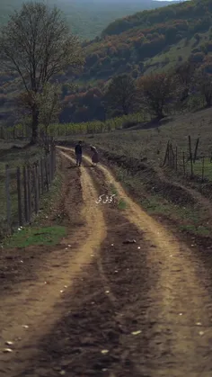 صبح یعنی تو بیایی و دلم باز شود 🌸