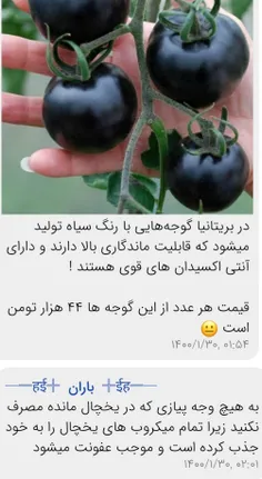 گوجه فرنکی سیاه