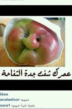 خخخخخخخ