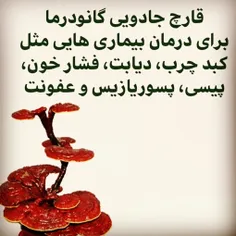 اگه بیماری هایی مثل پیسی .پسوریازیس .کبد چرب . دیابت . می