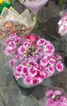 سنگ پر کردی تو دامن از جهان