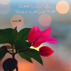 #سلام_مولای_ما♥