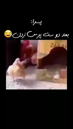 پسرا بعد از باشگاه