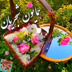 دوباره حرف تو شد شعر ناب از آب در آمد